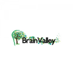 BRAIN VALLEY